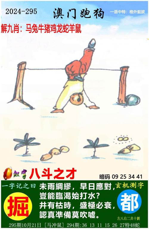 2025澳门天天开好彩大全开奖记录和7岁男孩遭3只犬撕咬与7岁男孩遭3只犬撕咬怎么办