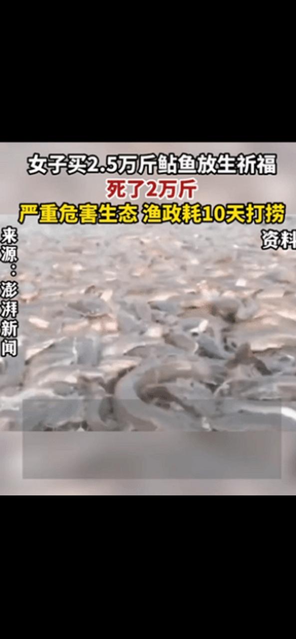 2025年6月4日