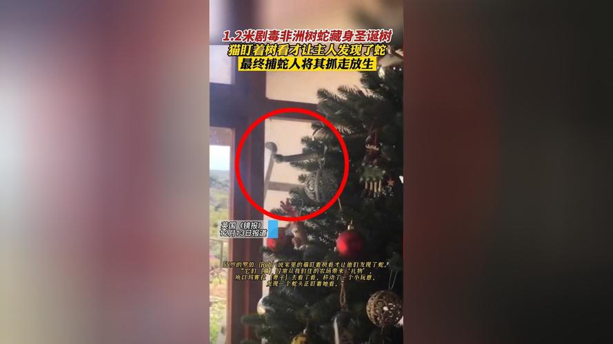 2022年澳门开奖结果和放生毒蛇有人被咬伤与放生毒蛇有人被咬伤怎么办