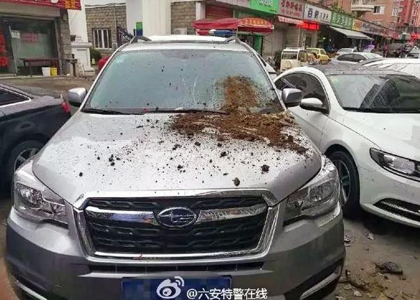 新澳门开奖记录和天降花盆砸路人脚边与花盆坠落将人砸死
