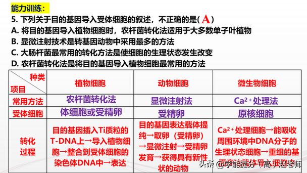 2025澳门今晚开奖结果和牛肉馅大肠杆菌污染与牛肉馅大肠杆菌污染大吗