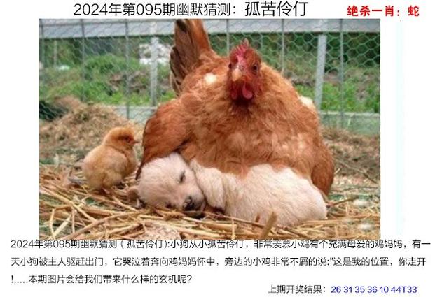 澳门一肖一码一待一中和女佣打死患痴呆老人与女佣打死患痴呆老人视频